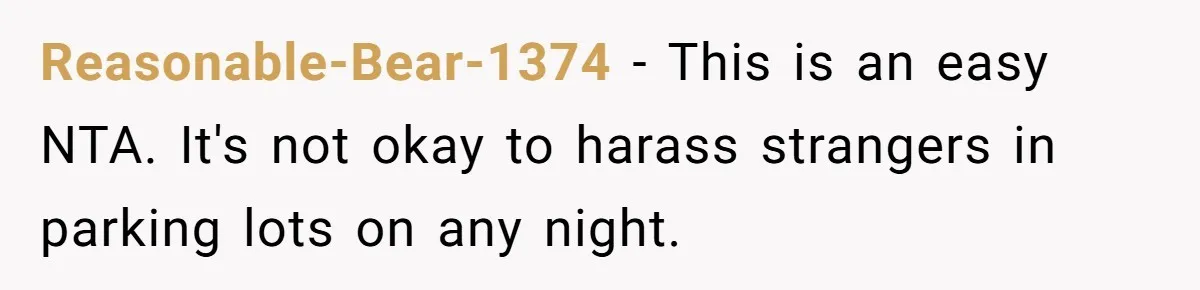 Reasonable-Bear-1374 − This is an easy NTA. It's not okay to harass strangers in parking lots on any night.