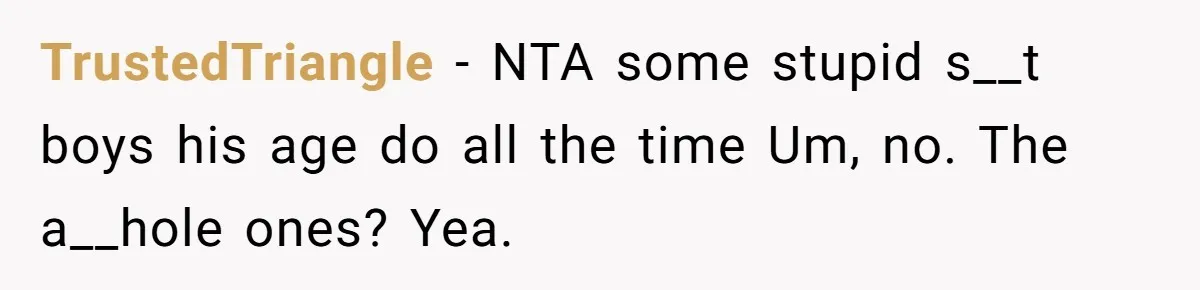 TrustedTriangle − NTA some stupid s__t boys his age do all the time Um, no. The a__hole ones? Yea.