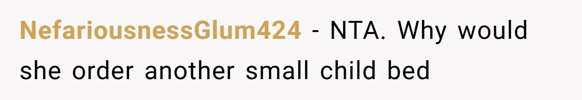 NefariousnessGlum424 − NTA. Why would she order another small child bed