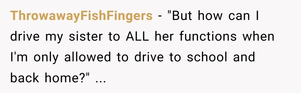 ThrowawayFishFingers − "But how can I drive my sister to ALL her functions when I'm only allowed to drive to school and back home?" ...