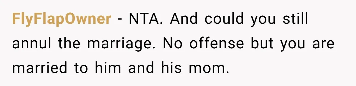 FlyFlapOwner − NTA. And could you still annul the marriage. No offense but you are married to him and his mom.