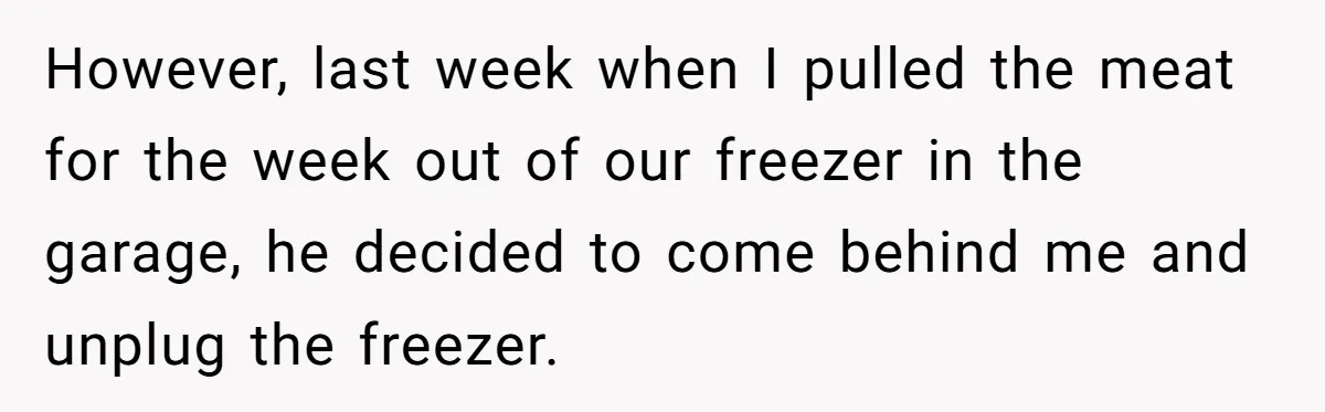 However, last week when I pulled the meat for the week out of our freezer in the garage, he decided to come behind me and unplug the freezer.