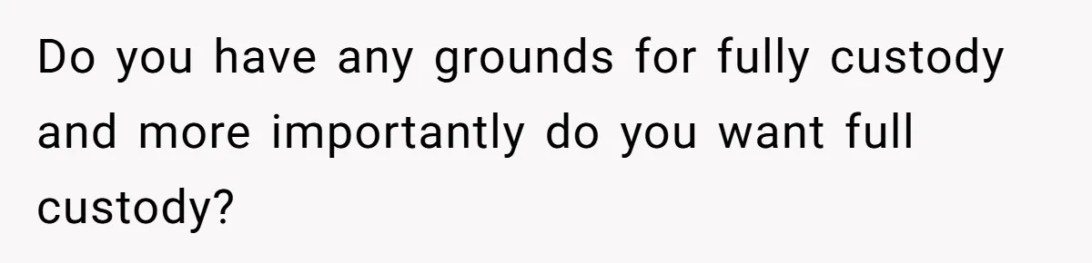 Do you have any grounds for fully custody and more importantly do you want full custody?