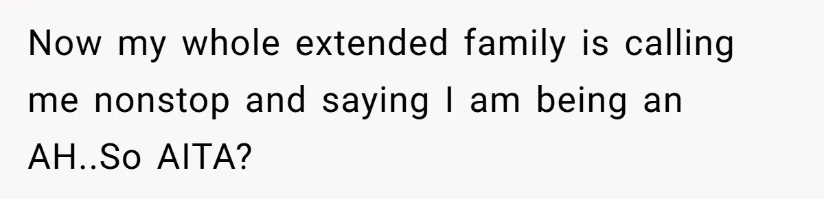 Now my whole extended family is calling me nonstop and saying I am being an AH..So AITA?