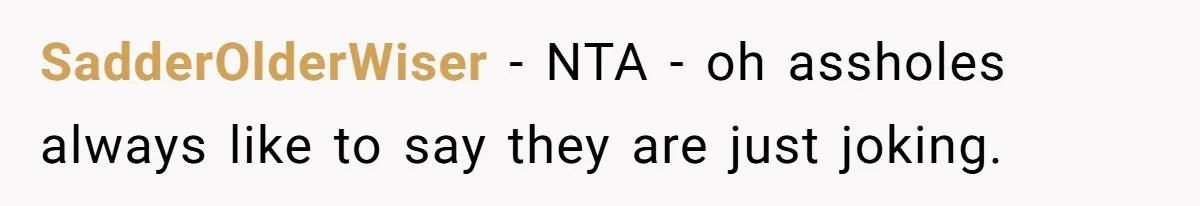 SadderOlderWiser − NTA - oh assholes always like to say they are just joking.