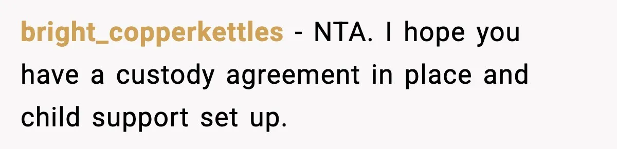 Man Leaves Family Call After Brother Announces Pregnancy With His Absent Ex, Gets Accused Of Ruining The Moment bright_copperkettles − NTA. I hope you have a custody agreement in place and child support set up.
