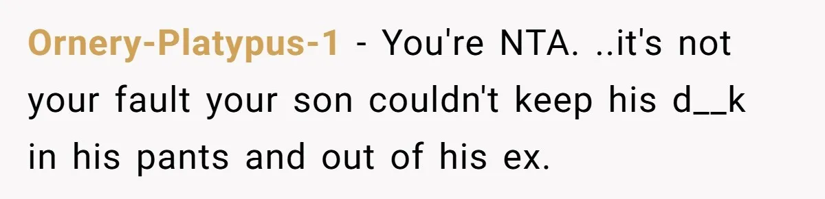 Dad Exposes Son’s Lie About An Open Relationship, Now Son Lost His Child And His Girlfriend Ornery-Platypus-1 − You're NTA. ..it's not your fault your son couldn't keep his d__k in his pants and out of his ex.