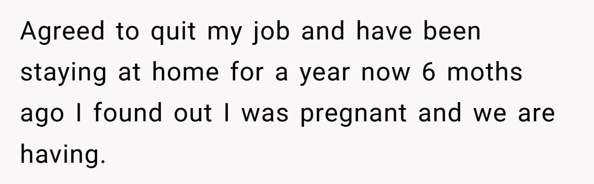 Agreed to quit my job and have been staying at home for a year now 6 moths ago I found out I was pregnant and we are having.
