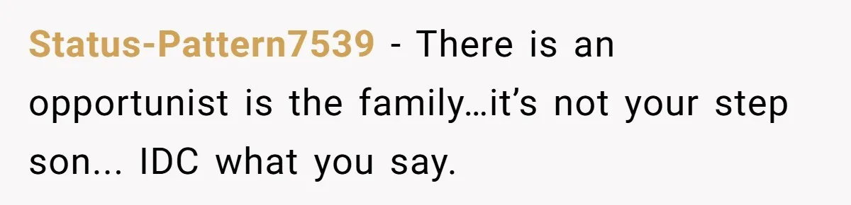 Mom Surprised After Stepson Asks for Babysitting Money Following a 5-Kid Emergency Status-Pattern7539 − There is an opportunist is the family…it’s not your step son... IDC what you say.