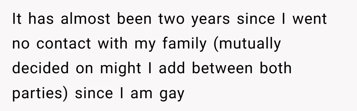 It has almost been two years since I went no contact with my family (mutually decided on might I add between both parties) since I am gay