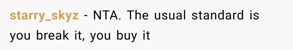 starry_skyz − NTA. The usual standard is you break it, you buy it