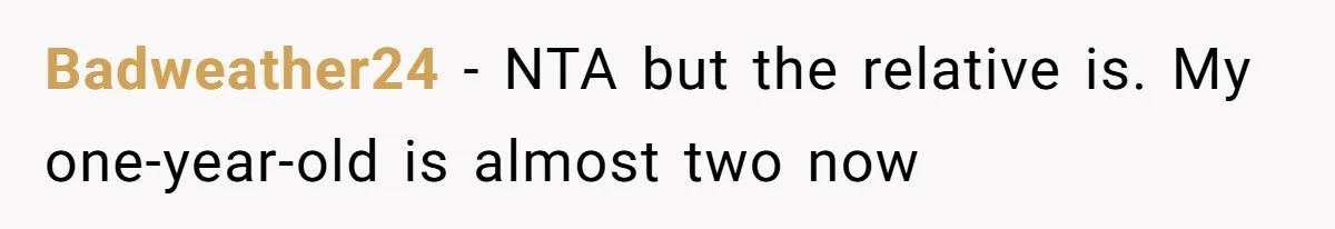 Relative Insists Toddler Deserves $200, Then Loses It When He Destroys It Badweather24 − NTA but the relative is. My one-year-old is almost two now