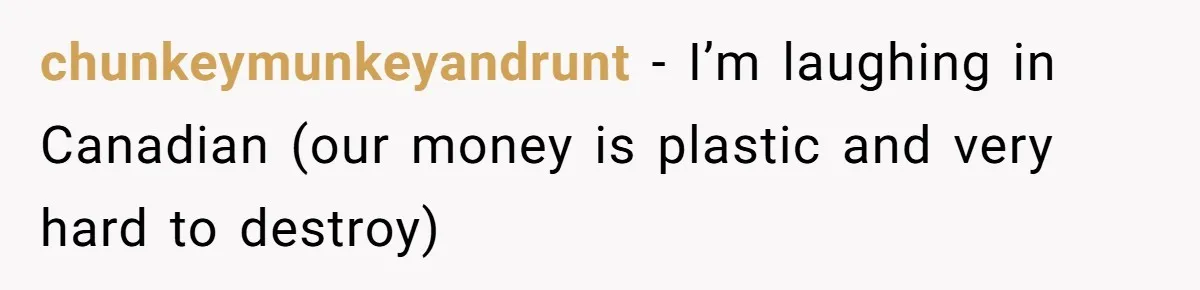 Relative Insists Toddler Deserves $200, Then Loses It When He Destroys It chunkeymunkeyandrunt − I’m laughing in Canadian (our money is plastic and very hard to destroy)
