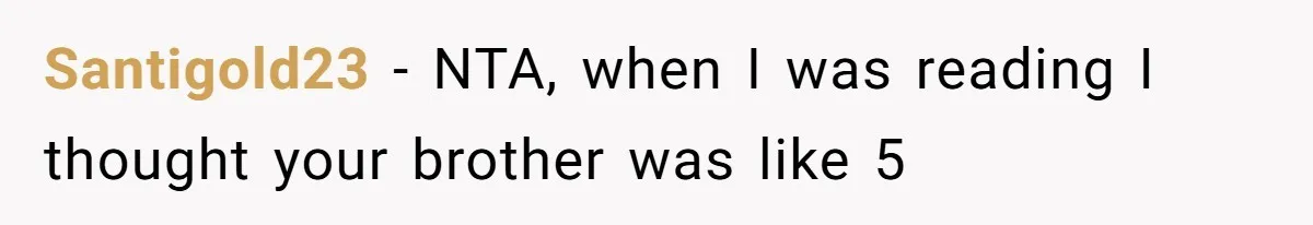 Santigold23 − NTA, when I was reading I thought your brother was like 5