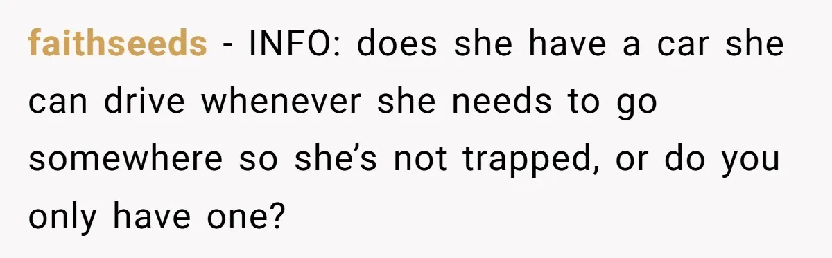 Pregnant Wife Asks For A Push Present, Husband Says She Isn’t Worth What She Wants faithseeds − INFO: does she have a car she can drive whenever she needs to go somewhere so she’s not trapped, or do you only have one?