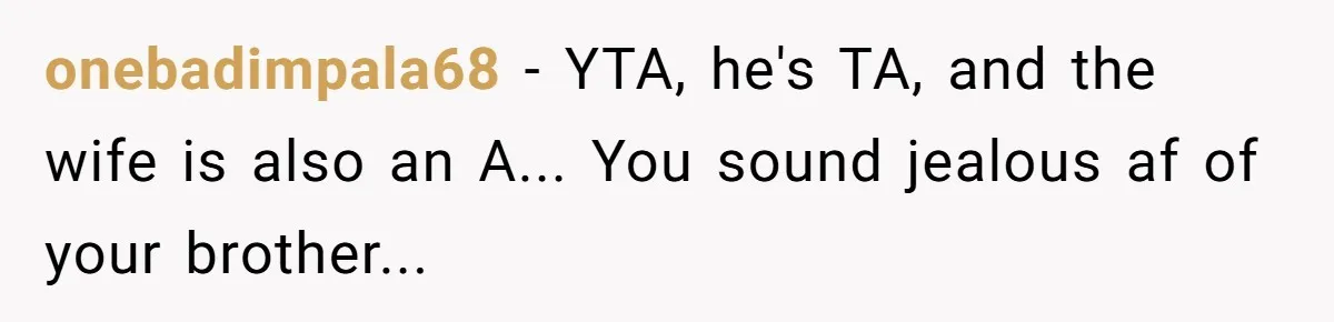 Wife Cheats, But The Whole Story Suggests That She May Be Not To Blame onebadimpala68 − YTA, he's TA, and the wife is also an A... You sound jealous af of your brother...