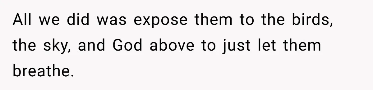 HOA Bans Repairing Cars In The Drive Way, Two Teens Find A Loophole To "Fight The Power" All we did was expose them to the birds, the sky, and God above to just let them breathe.