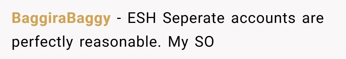 BaggiraBaggy − ESH Seperate accounts are perfectly reasonable. My SO
