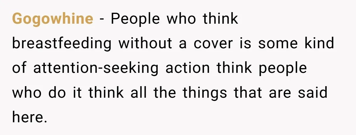 Gogowhine − People who think breastfeeding without a cover is some kind of attention-seeking action think people who do it think all the things that are said here.