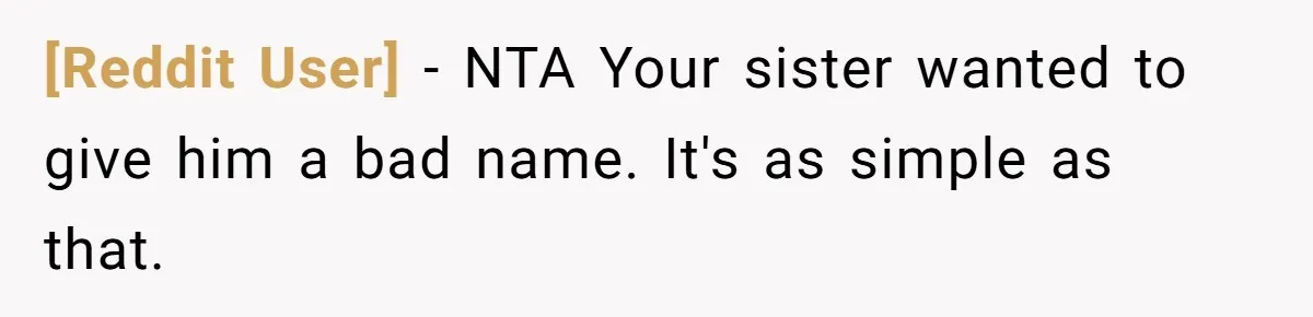 [Reddit User] − NTA Your sister wanted to give him a bad name. It's as simple as that.
