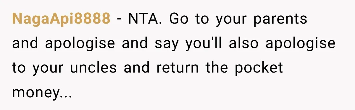 Woman Got Pocket Money For Babysitting Her Nephews... And Her Parents Are Fuming NagaApi8888 − NTA. Go to your parents and apologise and say you'll also apologise to your uncles and return the pocket money...