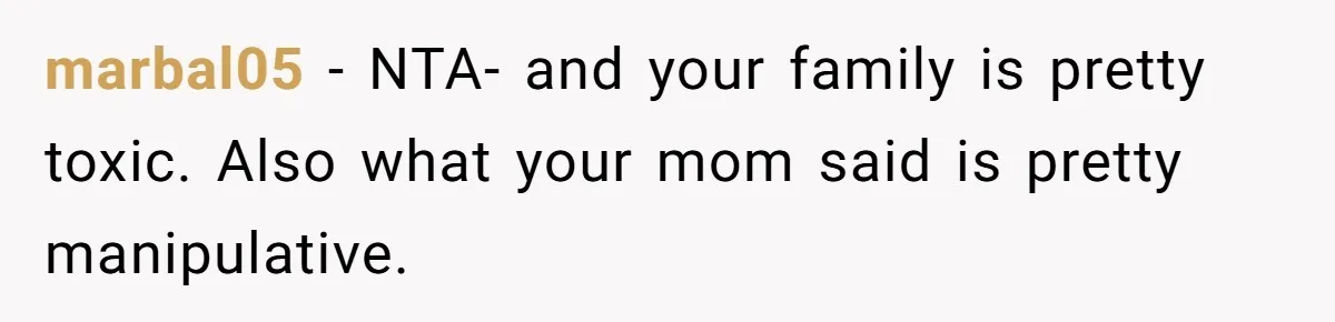 Woman Refused To Be The “Cool Aunt” Because She Didn't Want To Be A Free Babysitter marbal05 − NTA- and your family is pretty toxic. Also what your mom said is pretty manipulative.