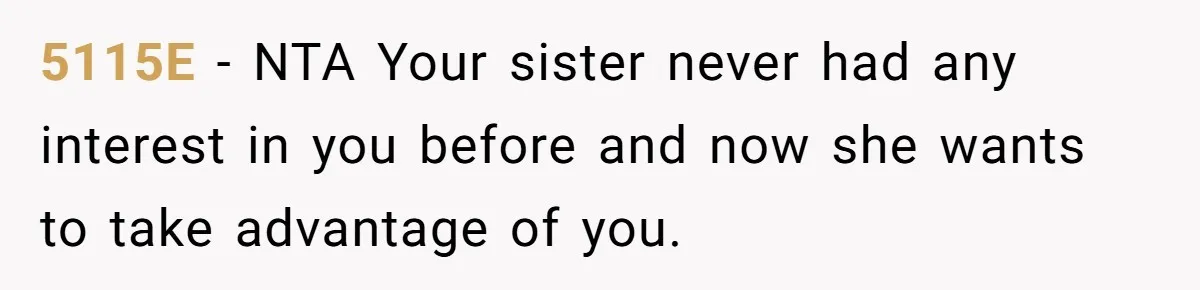 Woman Refused To Be The “Cool Aunt” Because She Didn't Want To Be A Free Babysitter 5115E − NTA Your sister never had any interest in you before and now she wants to take advantage of you.