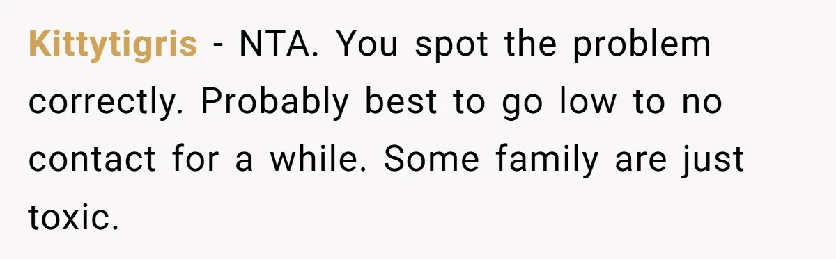 Woman Refused To Be The “Cool Aunt” Because She Didn't Want To Be A Free Babysitter Kittytigris − NTA. You spot the problem correctly. Probably best to go low to no contact for a while. Some family are just toxic.