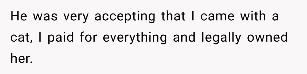 Woman Refuses To Stay After Abuse, But Gets Blamed For Taking What She Owned He was very accepting that I came with a cat, I paid for everything and legally owned her.