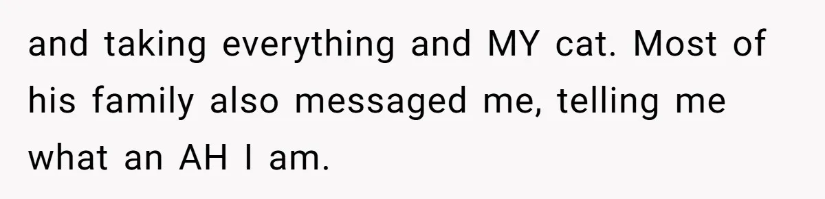 Woman Refuses To Stay After Abuse, But Gets Blamed For Taking What She Owned and taking everything and MY cat. Most of his family also messaged me, telling me what an AH I am.