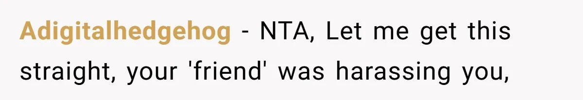 Woman Refuses To Stay After Abuse, But Gets Blamed For Taking What She Owned Adigitalhedgehog − NTA, Let me get this straight, your 'friend' was harassing you,