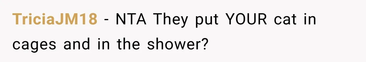 Woman Refuses To Stay After Abuse, But Gets Blamed For Taking What She Owned TriciaJM18 − NTA They put YOUR cat in cages and in the shower?