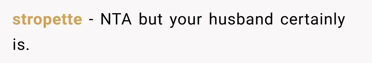 stropette − NTA but your husband certainly is.