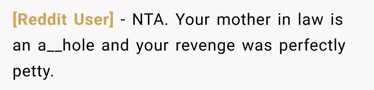 [Reddit User] − NTA. Your mother in law is an a__hole and your revenge was perfectly petty.