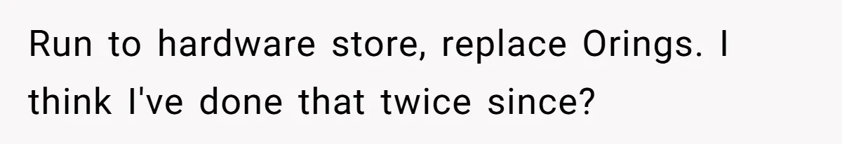 Run to hardware store, replace Orings. I think I've done that twice since?