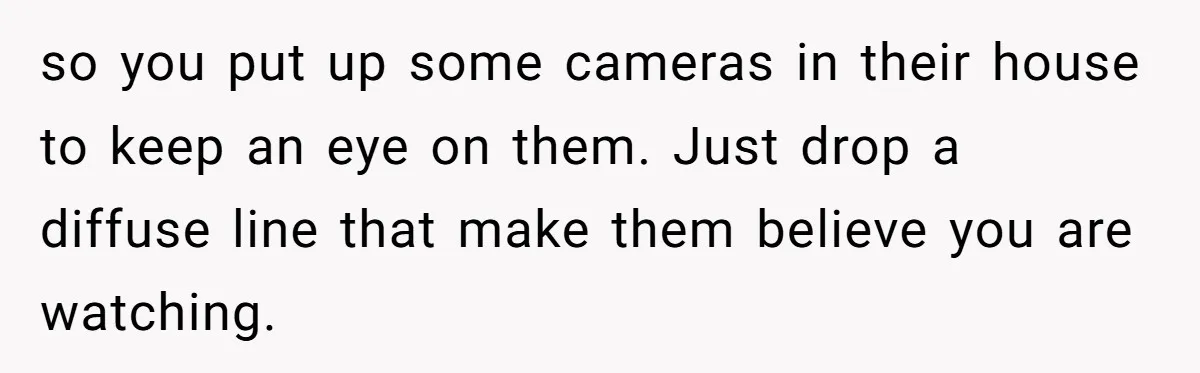 so you put up some cameras in their house to keep an eye on them. Just drop a diffuse line that make them believe you are watching.
