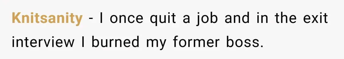 Marketing Pro Exposes Toxic Executive to 150 Colleagues With One Epic Reply-All Email Knitsanity - I once quit a job and in the exit interview I burned my former boss.