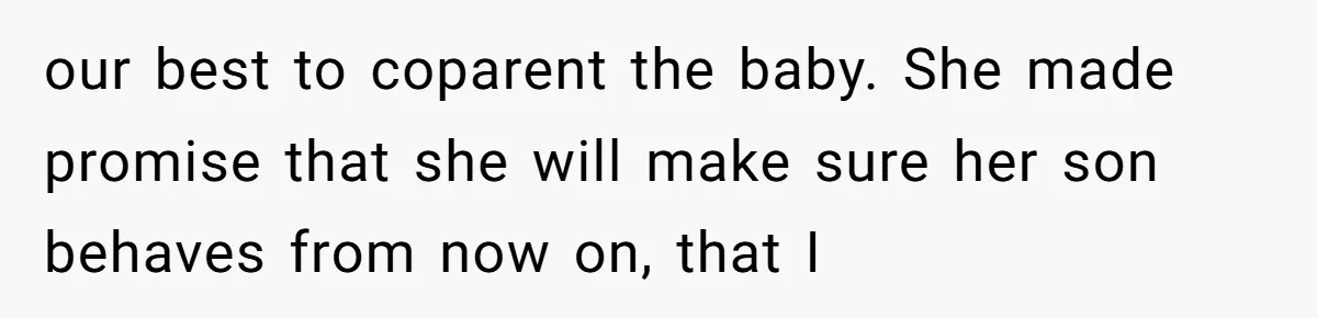 our best to coparent the baby. She made promise that she will make sure her son behaves from now on, that I
