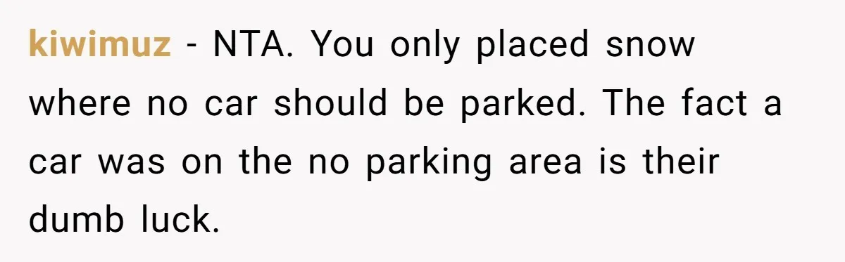 kiwimuz − NTA. You only placed snow where no car should be parked. The fact a car was on the no parking area is their dumb luck.