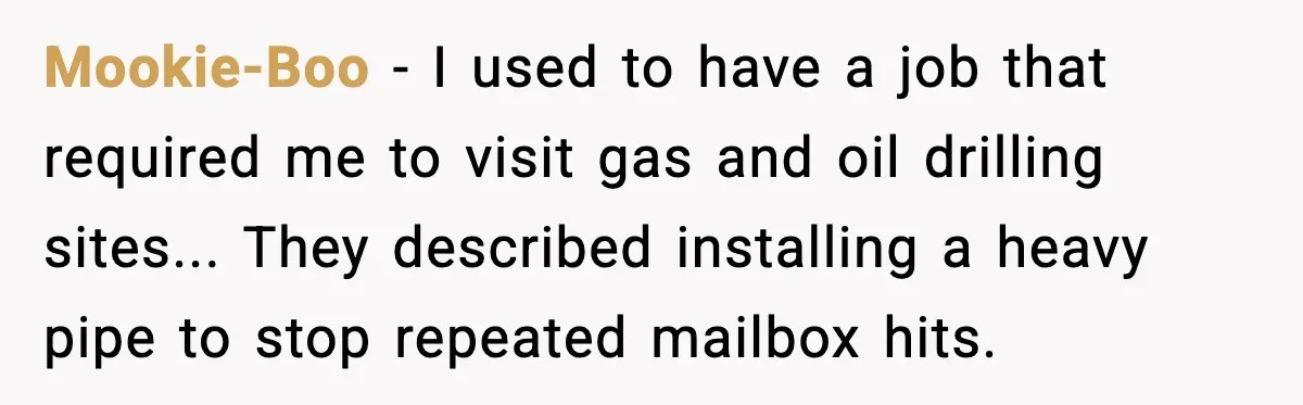 Mookie-Boo - I used to have a job that required me to visit gas and oil drilling sites... They described installing a heavy pipe to stop repeated mailbox hits.