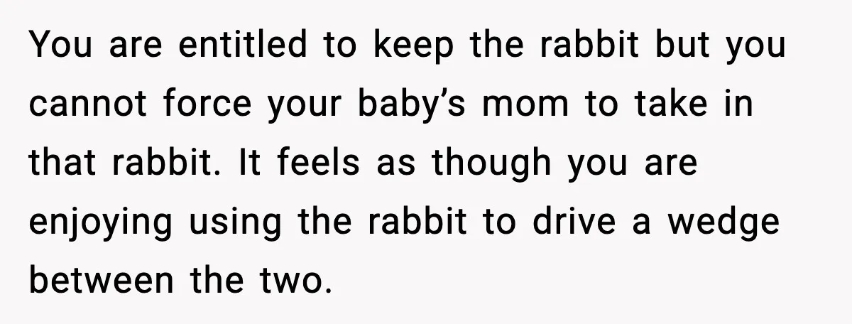 You are entitled to keep the rabbit but you cannot force your baby’s mom to take in that rabbit. It feels as though you are enjoying using the rabbit to...