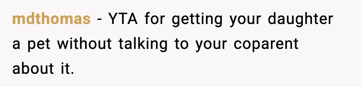 mdthomas - YTA for getting your daughter a pet without talking to your coparent about it.