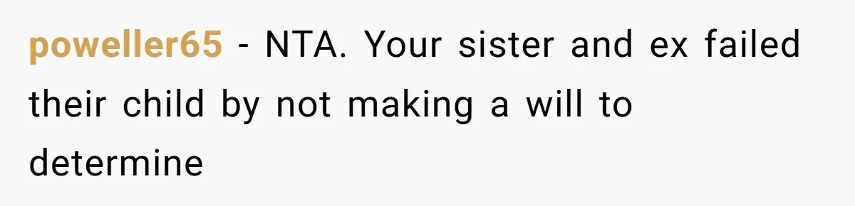 poweller65 − NTA. Your sister and ex failed their child by not making a will to determine