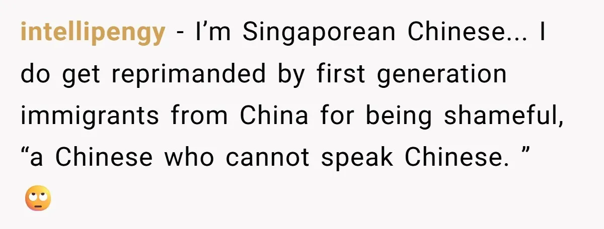 Uncle Critics Niece’s Language Skills Until She Delivers the Ultimate Bilingual Comeback intellipengy − I’m Singaporean Chinese... I do get reprimanded by first generation immigrants from China for being shameful, “a Chinese who cannot speak Chinese. ” 🙄