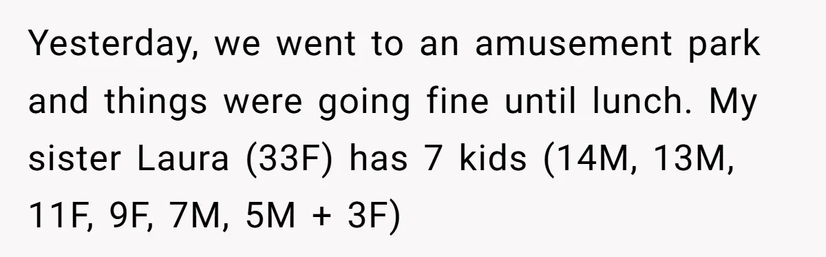 Aunt Walks Away from Family Vacation After Nephew’s Cruel Comments at Lunch Yesterday, we went to an amusement park and things were going fine until lunch. My sister Laura (33F) has 7 kids (14M, 13M, 11F, 9F, 7M, 5M + 3F)