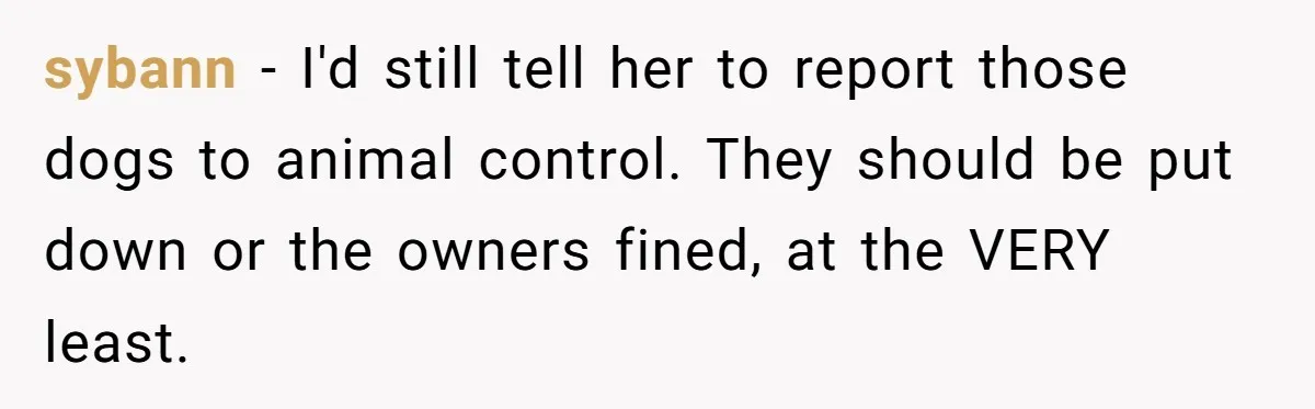 Country Neighbors Dismissed A Dead Dog, Then Got A Front-Row Seat To Revenge sybann − I'd still tell her to report those dogs to animal control. They should be put down or the owners fined, at the VERY least.