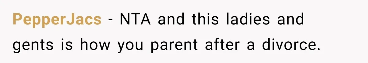 PepperJacs − NTA and this ladies and gents is how you parent after a divorce.