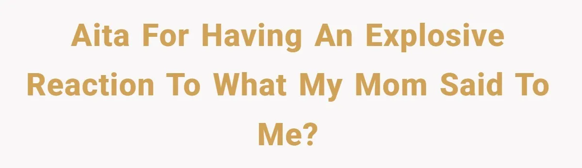 A Daughter’s Breaking Point: When a Mom Blames a Sweatshirt for Workplace Harassment AITA for having an explosive reaction to what my mom said to me?