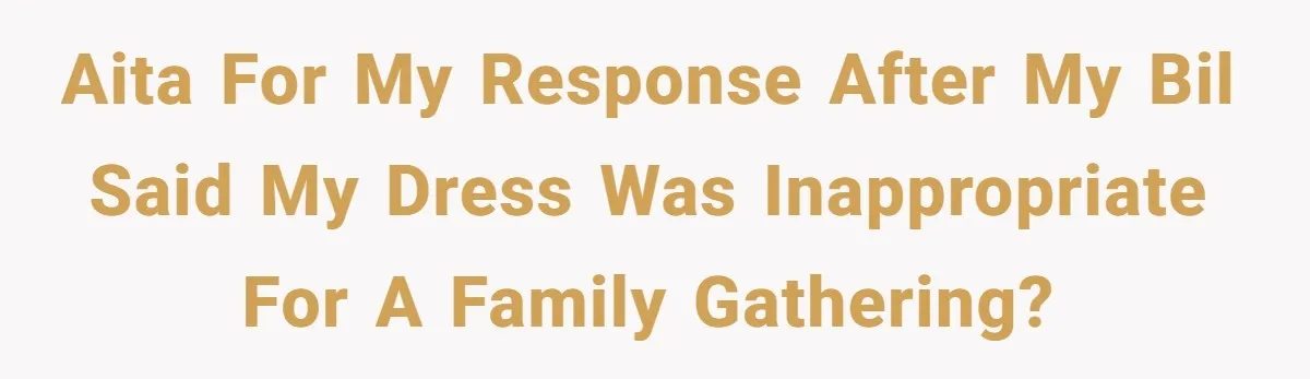 AITA for my response after my BIL said my dress was inappropriate for a family gathering?