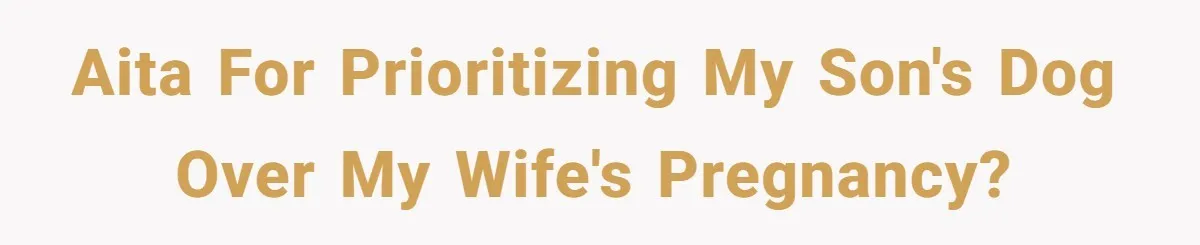 Dad Won’t Break Son’s Heart By Rehoming Dog, Even As Pregnant Wife Calls Him Selfish AITA for prioritizing my son's dog over my wife's pregnancy?